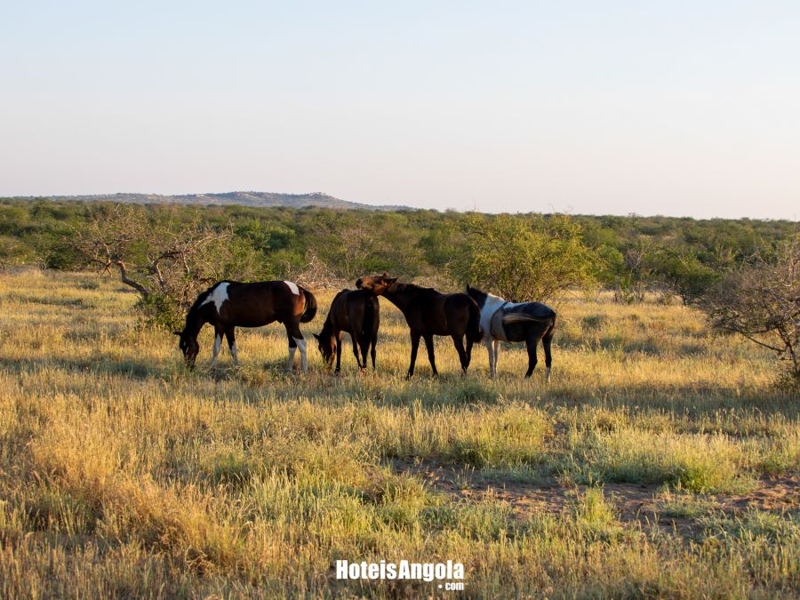 Lodge Kapembawé - Imagem 19