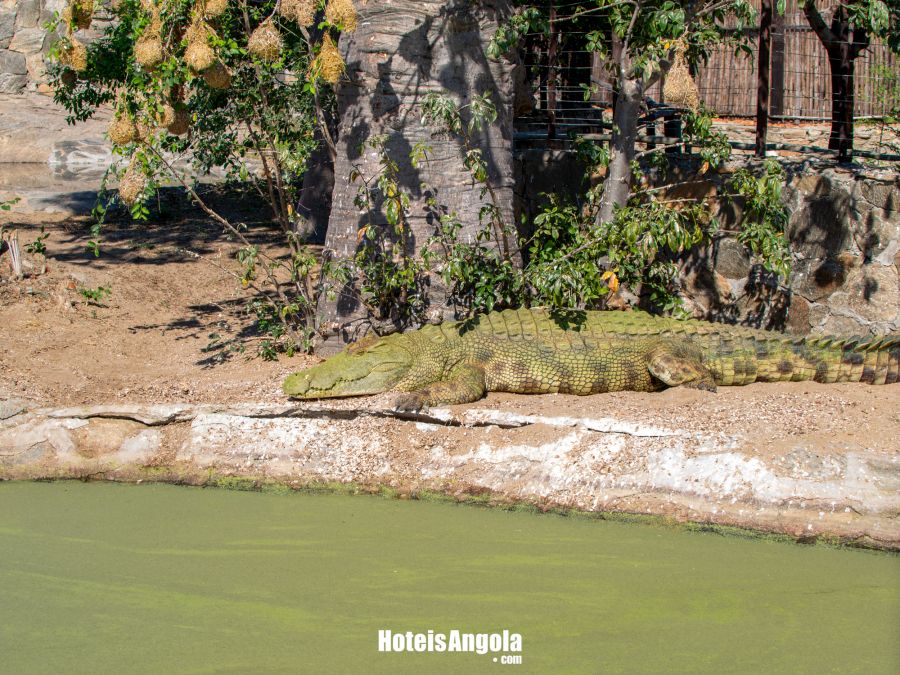 Lodge Kapembawé - Imagem 22