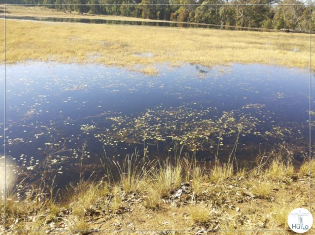 Polígono Florestal