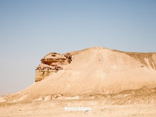 Camaleão do deserto