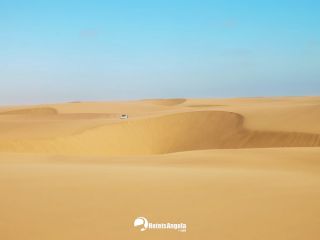 Dunas