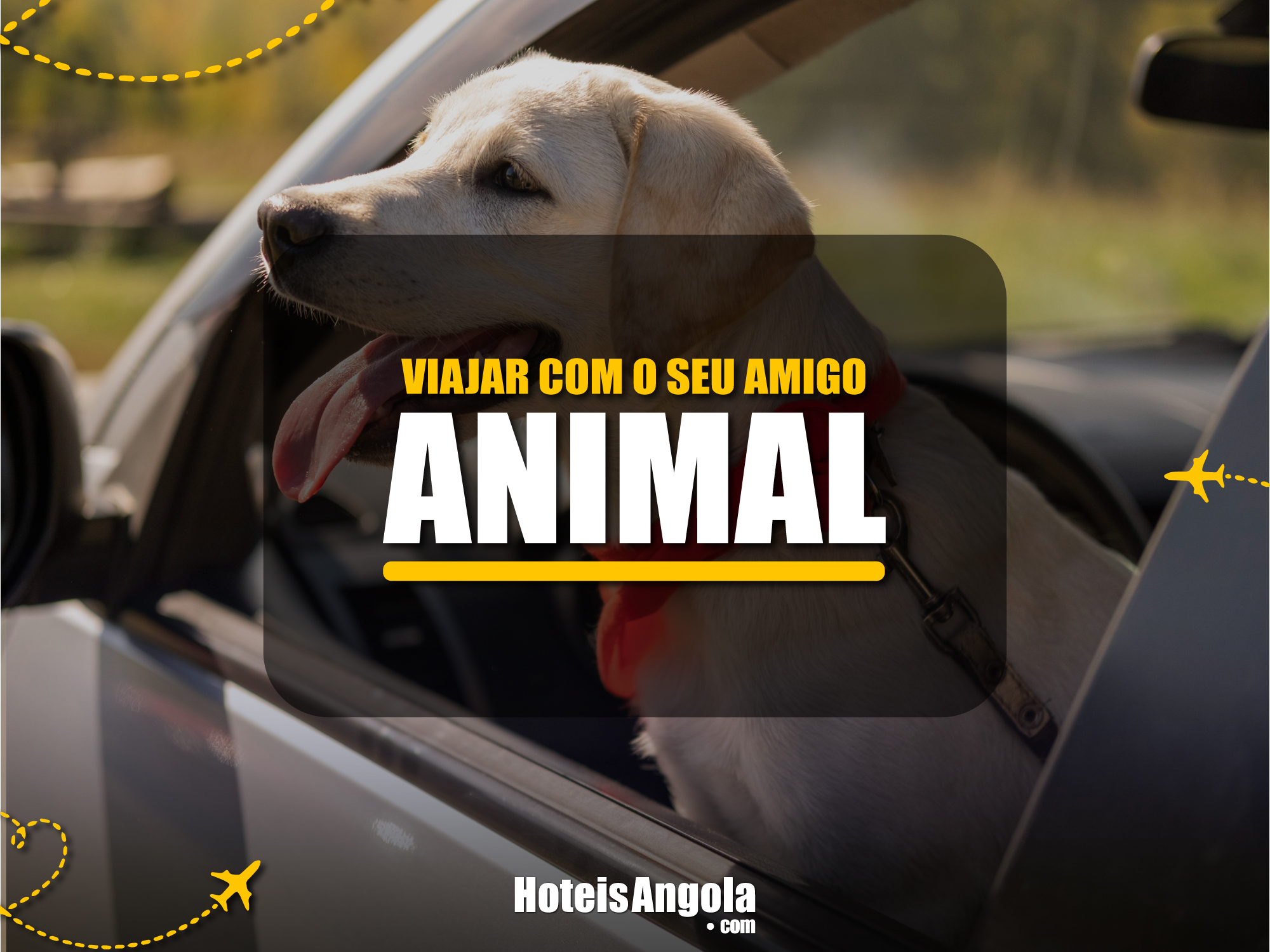 Viaje com seu Amigo Animal
