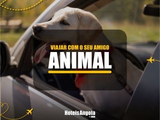 Viaje com seu Amigo Animal