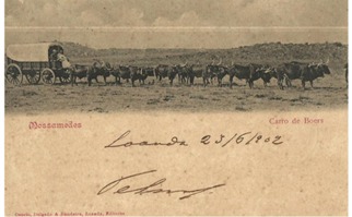 The Travelers of the Headquarters: The Forgotten History of the Bobs