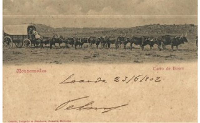 Os Viajantes da Sede: A História Esquecida dos Bóeres