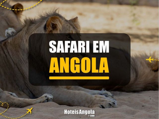 Safari em Angola