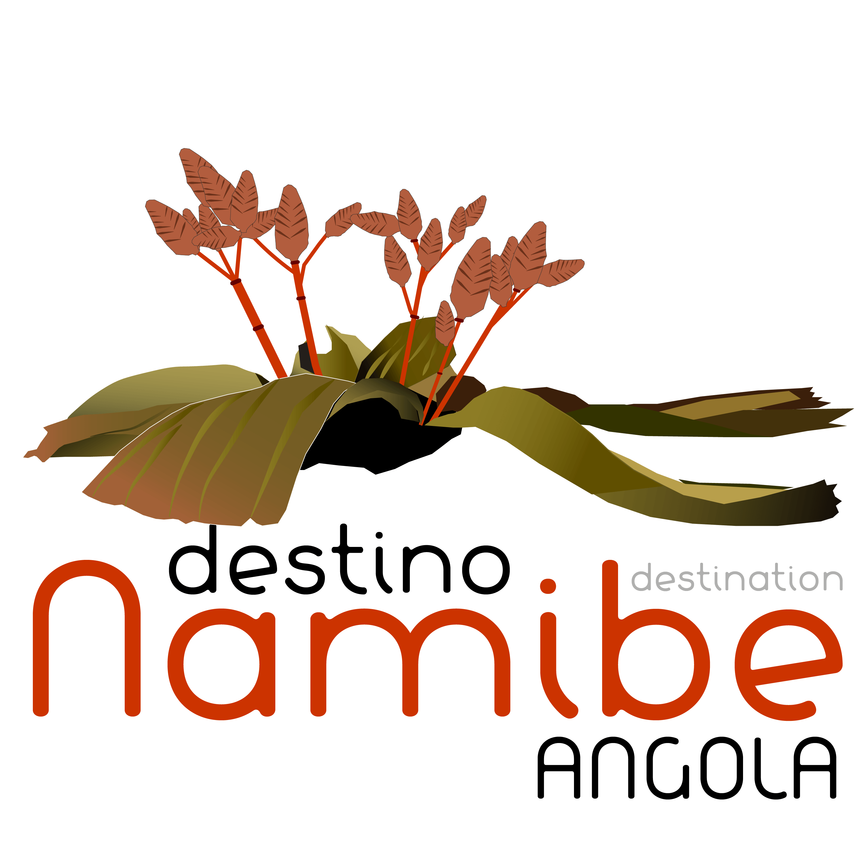 destinationnamibe.com recognized by the GPN