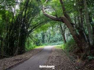 Quilombo Botanical Center