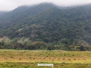 Floresta da Cumbira