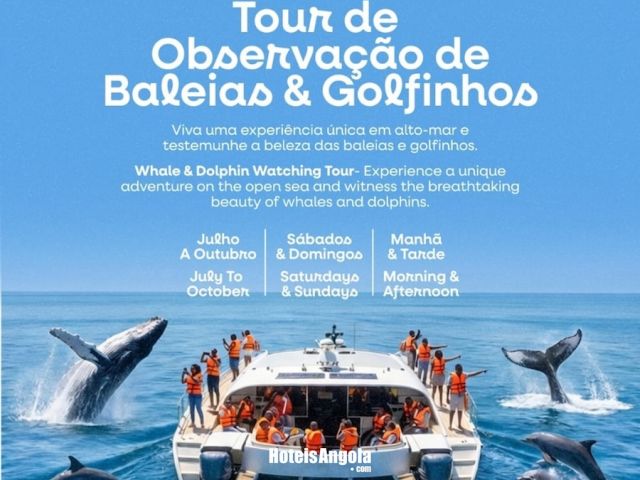 Observação de Baleias e Golfinhos