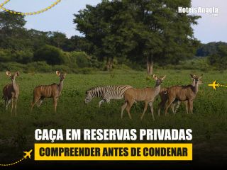 Caça em reservas privadas: compreender antes de condenar
